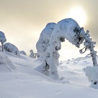 Зимние чудеса. :: Владислав Храмцов