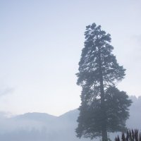 Туманное утро в горах :: Артем 