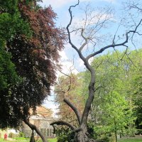 Jardin du Luxembourg, Париж :: Виктор Качалов