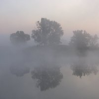 Утренний туман :: Владимир 