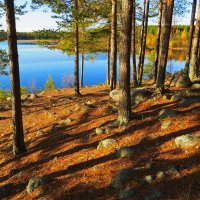 Осень :: Николай Фадеев