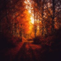 Осенний закат :: Александр Агеев