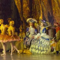 Сцена из балета "Спящая Красавица" :: Владимир Максимов