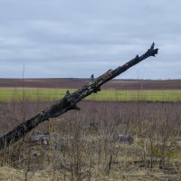 Диагональ :: Василий Либко