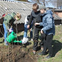 акция "Сирень Победы" :: Татьяна Гурова