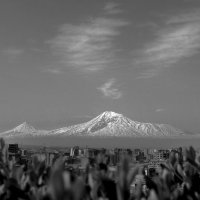 Ararat, Armenia :: Армен Абгарян