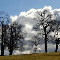 Облака,деревья и горка. :: Владимир Гилясев