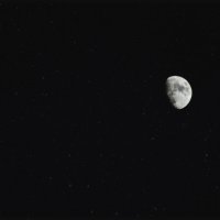 Луна :: Юлия Синицына