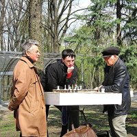 Весна, шахматисты в парке. :: Александр Бурилов