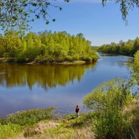 Рыбак  и  весна. :: Валера39 Василевский.