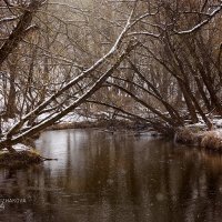 Апрель, подмосковье :: Svetlana Strizhakova