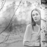 birches :: Ilze Strēle