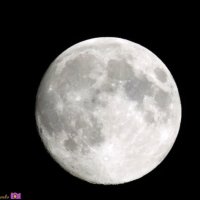 Луна :: Наталья Доценко