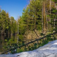 Весна :: Николай 