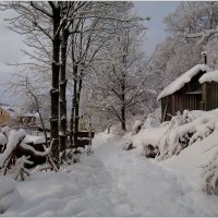 Сельские дорожки :: Юлия Геннадьевна Гончарова