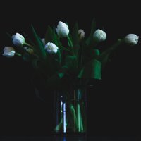 Тюльпаны ночные :: Elena Reykh