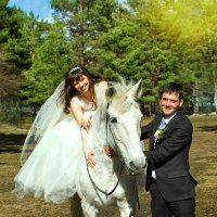 Наша свадебная лошадка :: Дмитрий Конев
