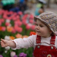 тюльпаны :: Инна Кравченко