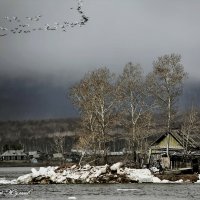 перелет :: Андрей 