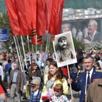 Опять в строю :: Алексей Михалев