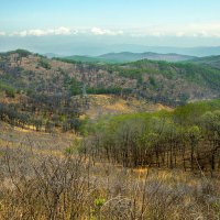 Просторы родного края :: Жанетта Буланкина