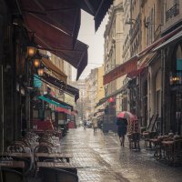 Rain in Lyon :: MissMelania Crow