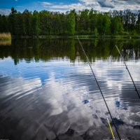 Рыбалка. :: Наталья Лысенко