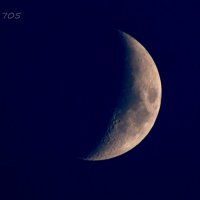 Moon :: Анна Куценко