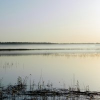 утро на озере :: Анатолий Смольников