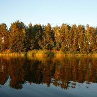 Озеро Иртяш :: Анастасия Романова