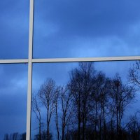 Синие  окна... :: Валерия  Полещикова 