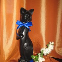 Чёрная кошка. :: Мила Бовкун