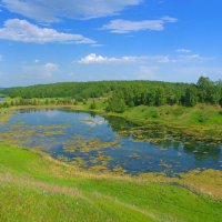 Пруд у реки Пьяна. Нижегородская область :: Роман Царев