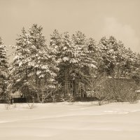 ** :: Александр Перелыгин