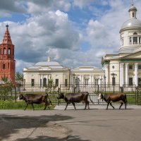 Никольский собор. Епифань :: Anastasia Bozheva