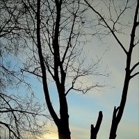Закат на Оке зимой :: Elena 