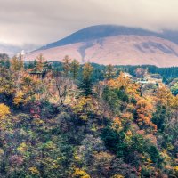 осень в Японии :: Slava Hamamoto