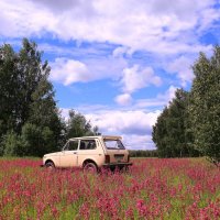 Я буду долго гнать ..., в глухих лугах его остановлю :: Татьяна Ломтева