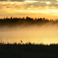 Утро туманное... :: Федор Чернышев