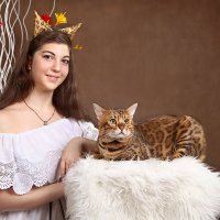 Фотопроект "Кошки" :: Оксана Зарубина