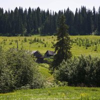 На опушке :: Вадим Заблоцкий