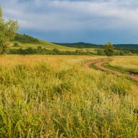 Степная дорога :: Любовь Потеряхина