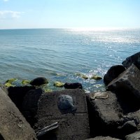 Балтийское море,барельеф камбалы :: Natali 