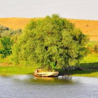 Берега нижней Волги. :: Дмитрий Олегович