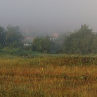 Туман :: Юлия Бабитко