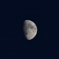 Moon :: Софья Оганова