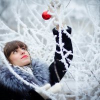 зима :: Andrey Melnikov