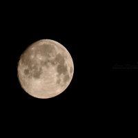 Луна в Рамадан :: Yana Fizazi