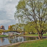 Городской пруд :: Анатолий Цыганок