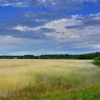 Июль. :: Валера39 Василевский.